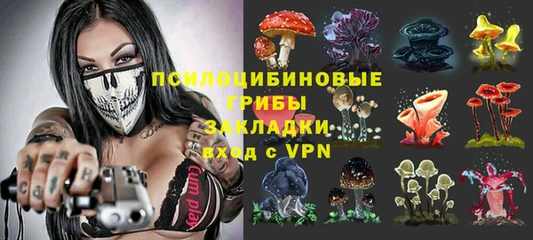 стафф Бронницы