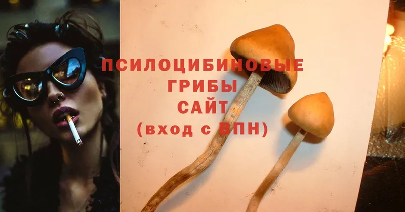 Галлюциногенные грибы Magic Shrooms Таганрог